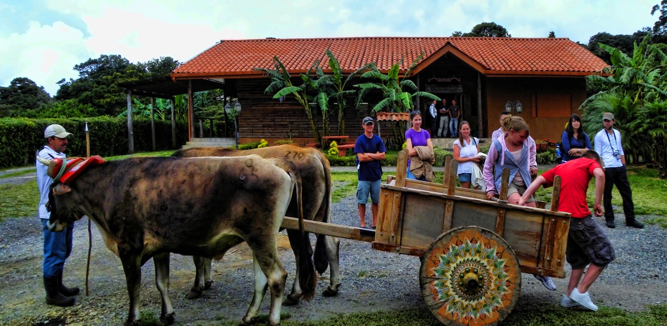 Don Juan Coffee, Chocolate Sugar Cane Tour Monteverde