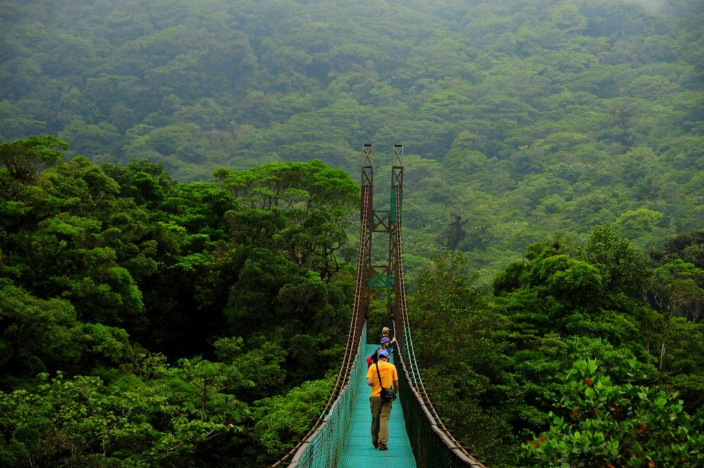 Poder estanque Sofocante Selvatura Park Monteverde Costa Rica